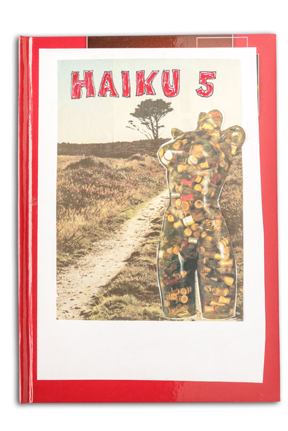 Haiku-Band (1970er Jahre)